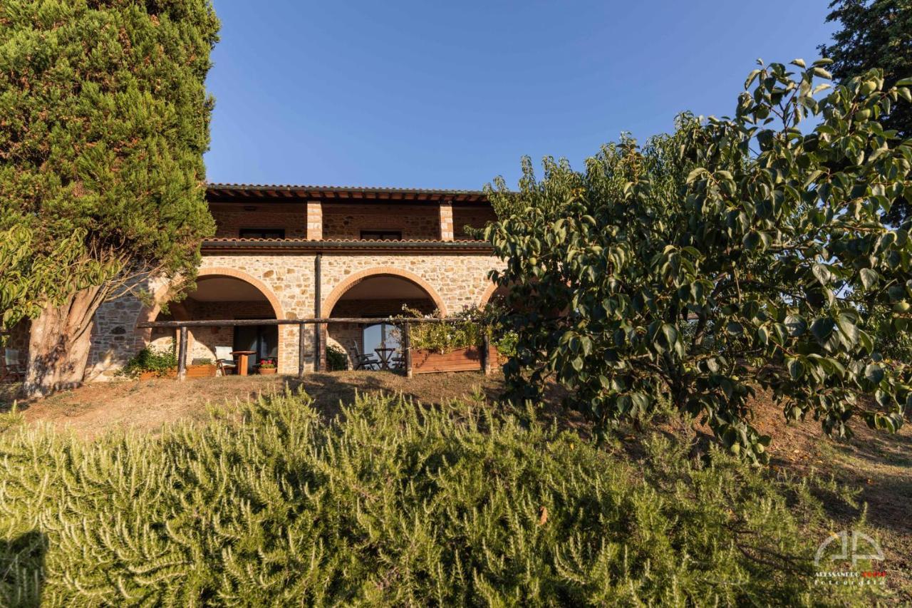 Villa Sant Anna Сасета Екстериор снимка